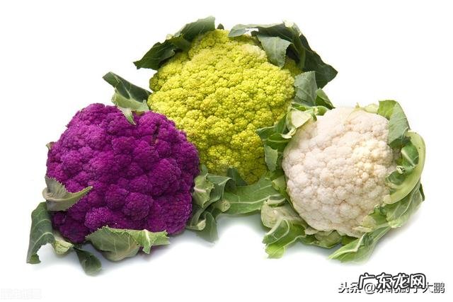 黄瓜与西红柿一起炒有没有坏处?