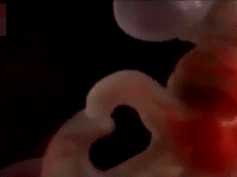 怀孕一个月时,孕妇身体会有哪些变化该注意些什么