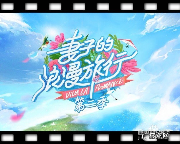 周六有什么好看的综艺节目