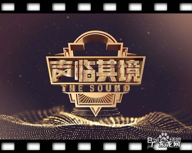 周六有什么好看的综艺节目