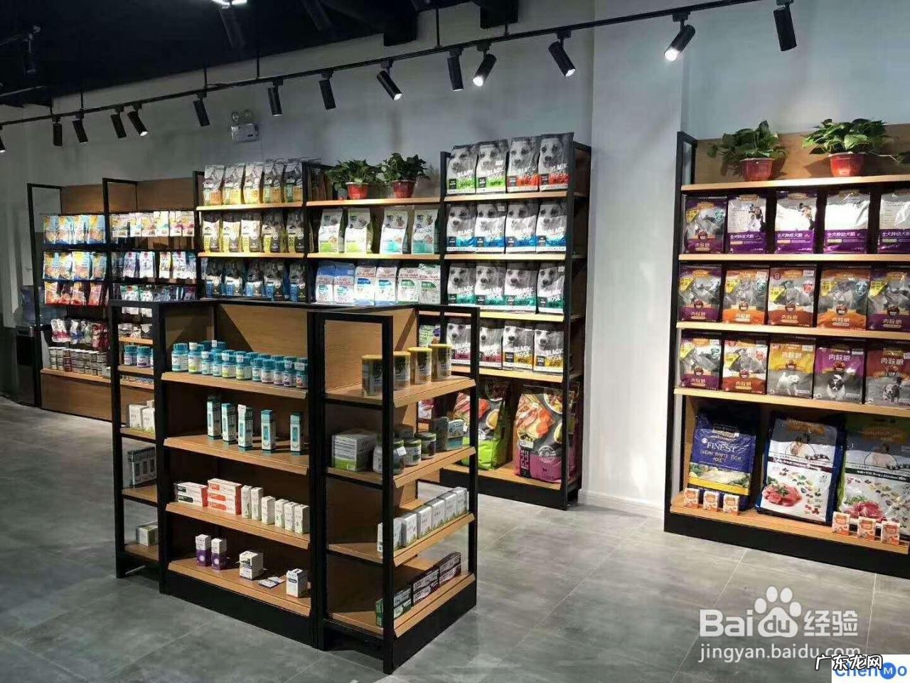 适合女生开的三种店 没经验想开猫店怎么做