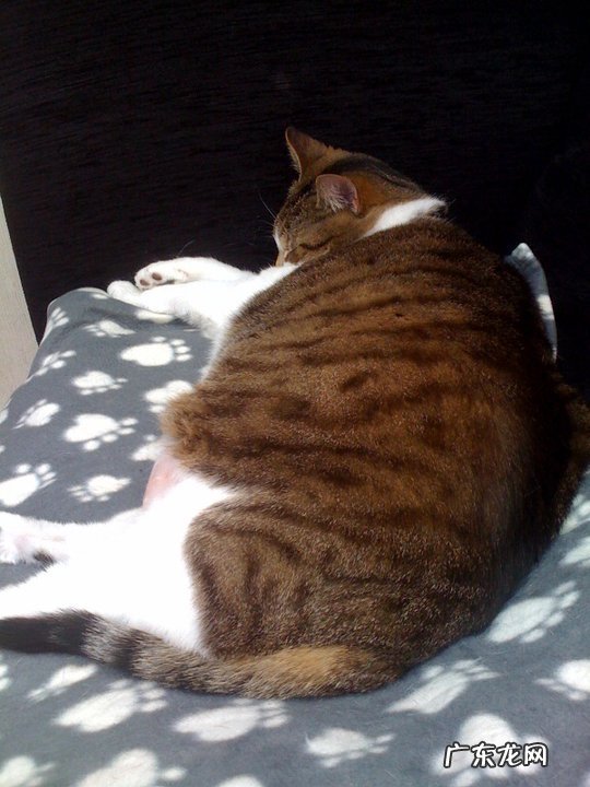 中考体育身高体重比例怎么算 中考计算身高与体重的公式是什么？