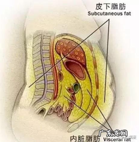 一些体重正常的人，为什么还会觉得自己胖？