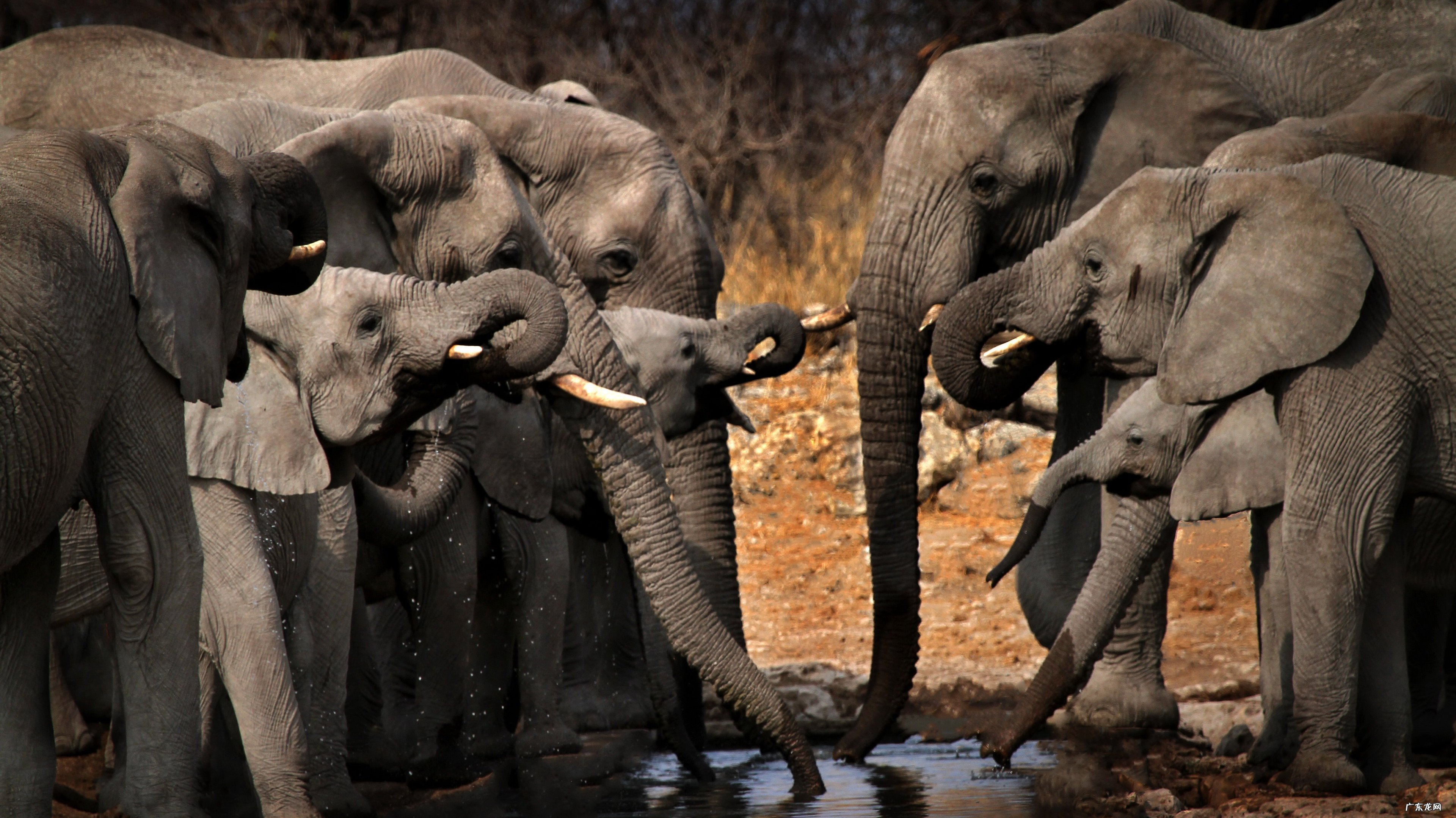 怎么才是最有效的减肥方法
