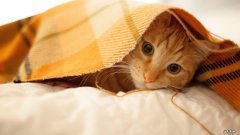 我一直吸烟也一直吃叶酸片现在怀孕了马上戒烟孩子可以要吗