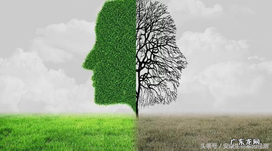 dna测序是检查什么?有什么作用?