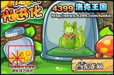 魔力猫怎么进化成武斗酷猫?进化条件是什么?