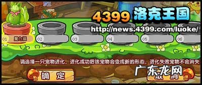 魔力猫怎么进化成武斗酷猫?进化条件是什么?