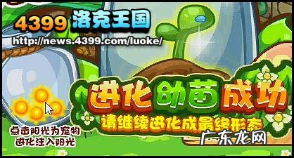 魔力猫怎么进化成武斗酷猫?进化条件是什么?