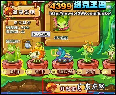 魔力猫怎么进化成武斗酷猫?进化条件是什么?