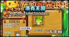 魔力猫怎么进化成武斗酷猫？进化条件是什么？