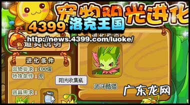 魔力猫怎么进化成武斗酷猫?进化条件是什么?