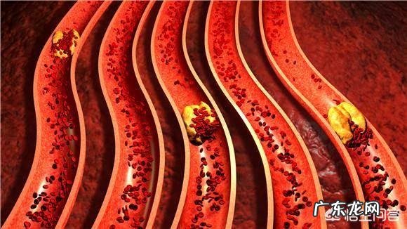 什么东西泡水喝能清除血液垃圾?