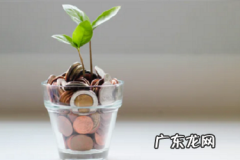 淘宝店铺45天内发货是真的吗？如何赔偿？