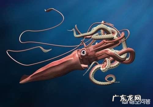 深海可能存在比蓝鲸还大的生物吗