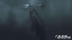 深海可能存在比蓝鲸还大的生物吗