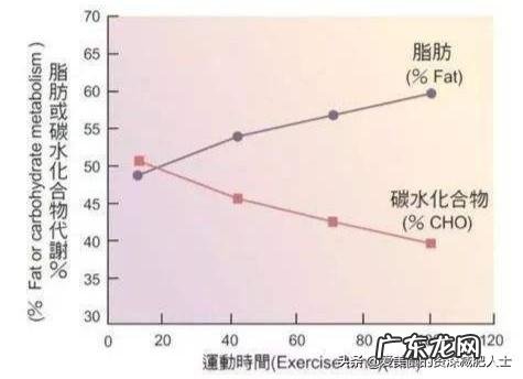 饭后一小时，做tabata有氧运动能消耗脂肪吗？