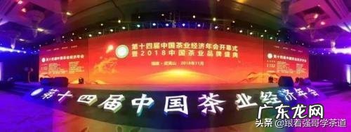 比较好的单一茶类品牌有哪些?