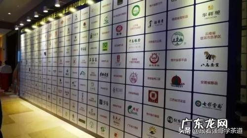 比较好的单一茶类品牌有哪些?