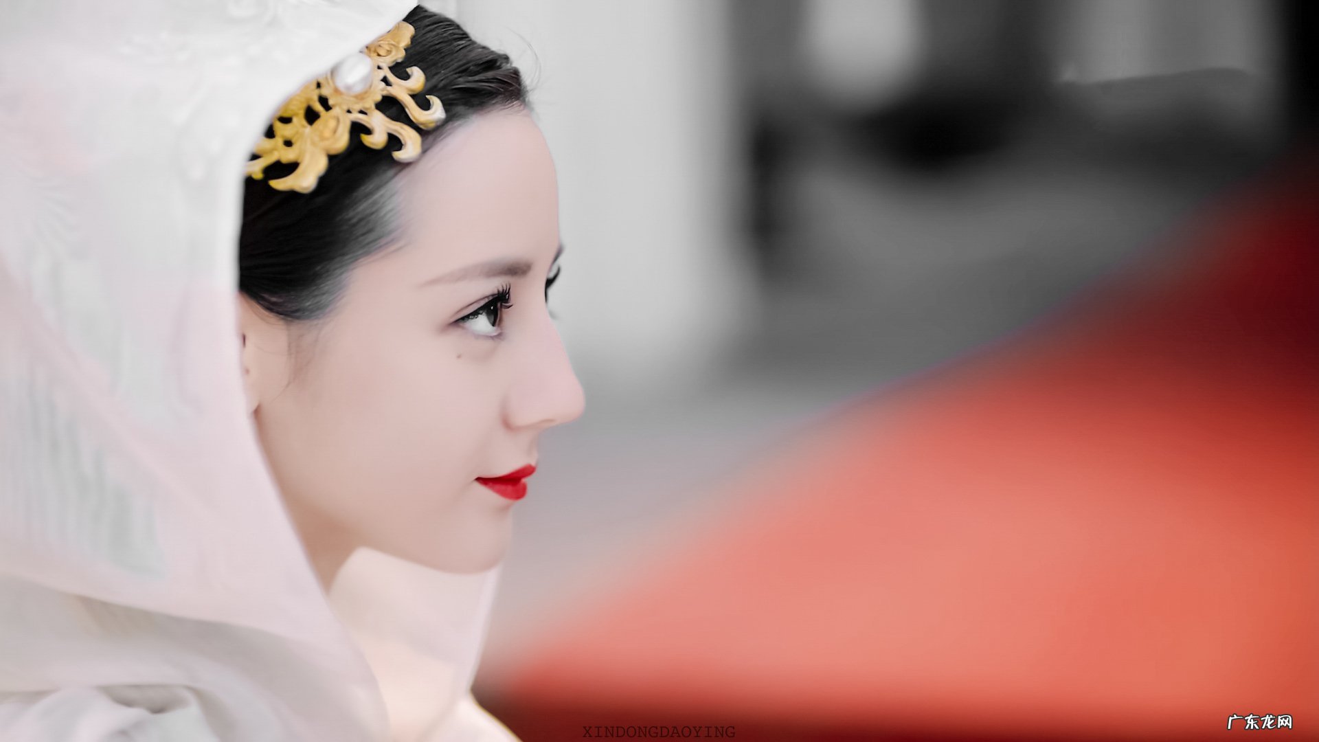 女人喝什么豆浆好?黄豆豆浆，黑豆豆浆？