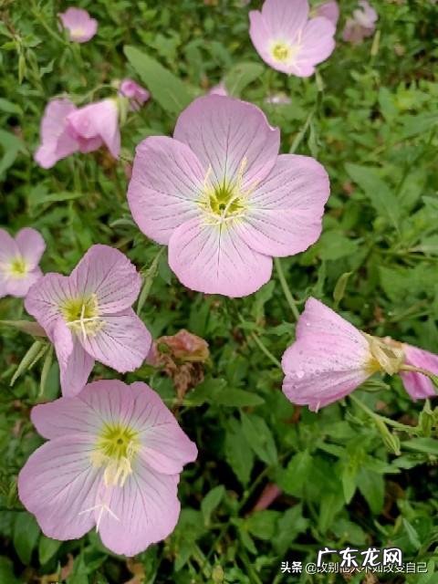 有没有适合年轻人的养生方式 现在众多年轻人注重养生,有什么好的建议?