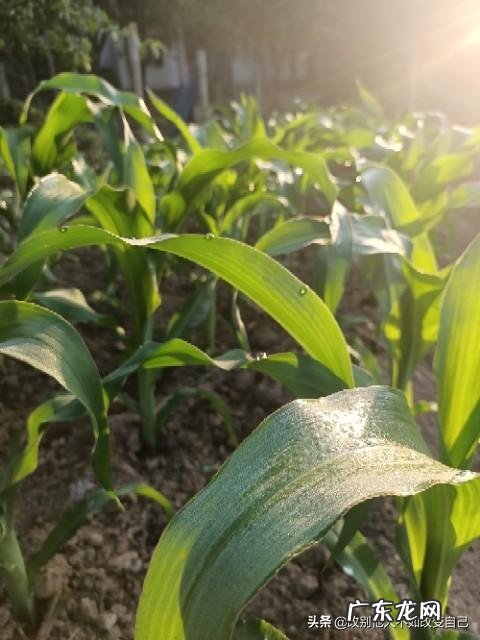 有没有适合年轻人的养生方式 现在众多年轻人注重养生,有什么好的建议?