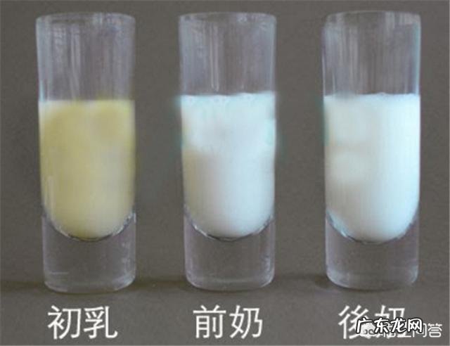 宝宝属于低体重儿,怎样喂养比较好呢?