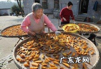 红薯干是软点好吃还是硬点好吃？