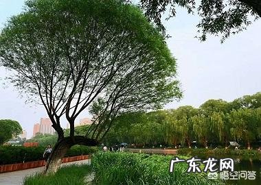 有哪些减肥的好方法能够促使本人从125斤减到100斤?