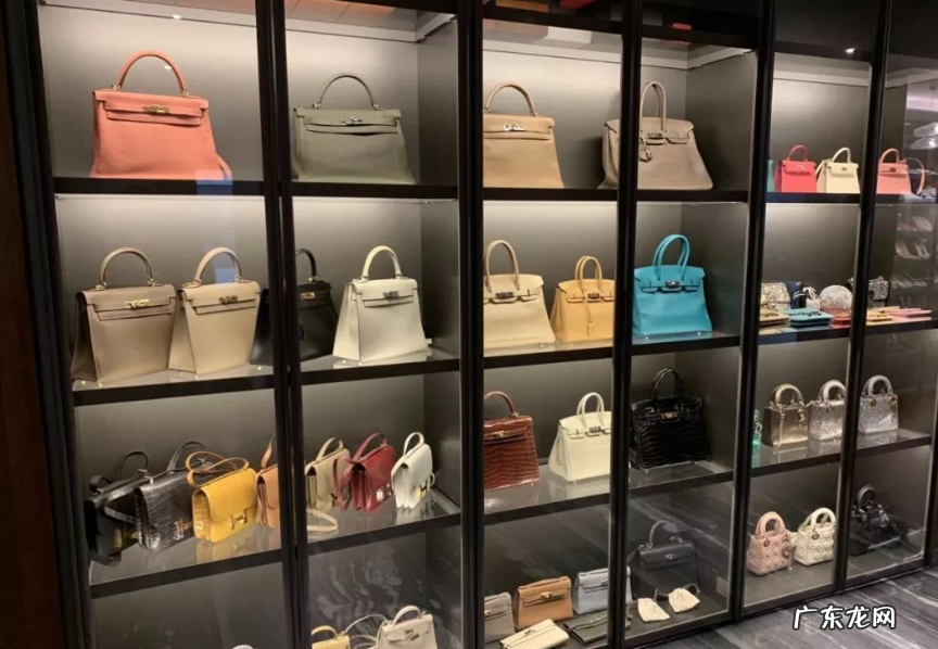 毕业学校和身高年龄 网红林珊珊个人资料