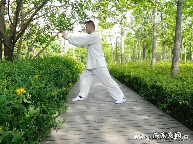 八段锦、易筋经和太极拳,哪个健身效果更好?