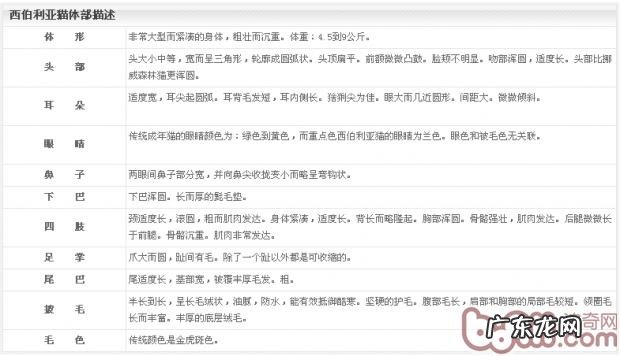 关于西伯利亚猫的介绍