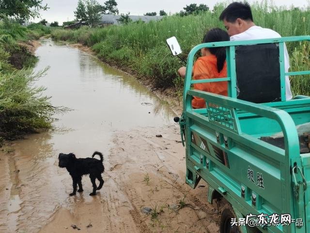 未来的农村生活是怎样的 真实的农村生活现在是什么样的?