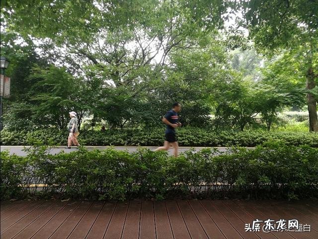 为什么我天天跑步，体重还增加了？