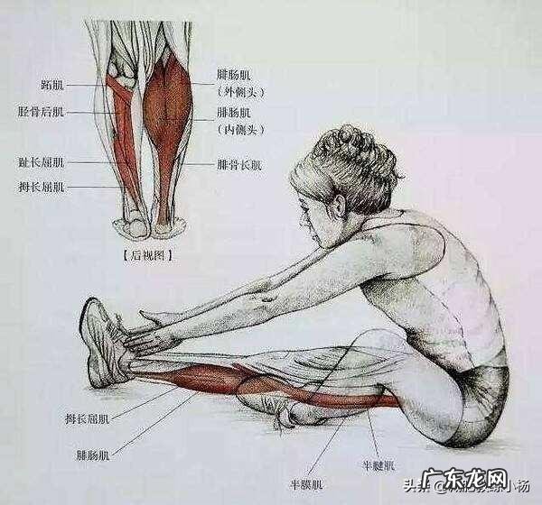 本人最近在减肥，想找一款好点的跑鞋，求推荐？