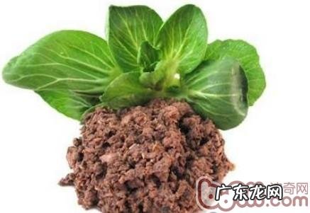 猫咪吃干粮好仍是吃湿粮好以及有何差异