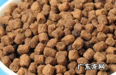 猫咪吃干粮好仍是吃湿粮好以及有何差异