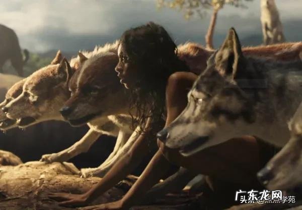 保护孩子的心理健康有重要意义,怎样注重孩子心理健康的培养