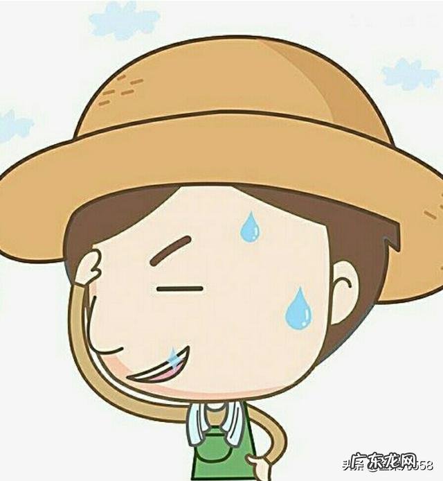 绿叶夏天会给人们带来什么好处