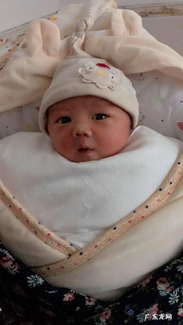 哺乳期间可以吃哪种食物减肥?