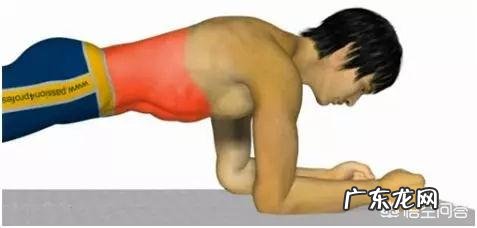 身体的核心力量到底在哪?