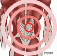 身体的核心力量到底在哪？