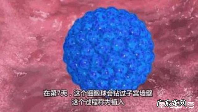 手脚冰凉的女生，真的很难怀孕吗？