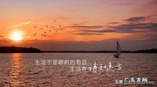 吃减肥药真的可以达到瘦身的效果吗?