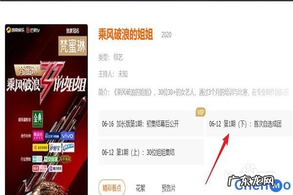 明星上过哪些综艺节目 在哪里在线观看综艺节目《乘风破浪的姐姐》