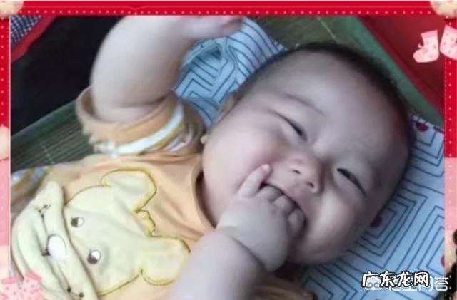 早教几个月开始最好 宝宝几个月开始比较好带?