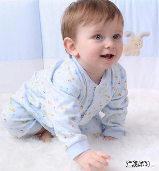 早教几个月开始最好 宝宝几个月开始比较好带?