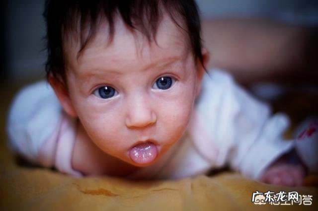 足月新生儿和早产儿发展的差异是什么?