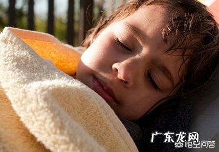 薏米、茯苓、苦荞麦一起煮汤喝能减肥祛湿吗?