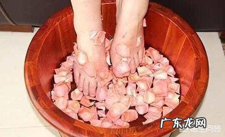 薏米、茯苓、苦荞麦一起煮汤喝能减肥祛湿吗?